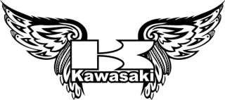 samolepka Kawasaki KAW01006
