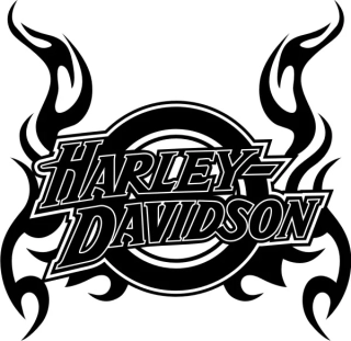 samolepka Harley Davidson HD057