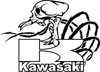 samolepka Kawasaki 09
