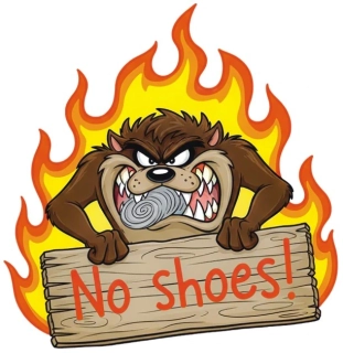 samolepka No Shoes