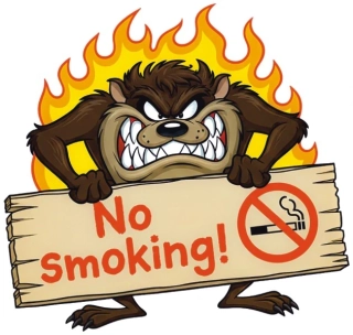 samolepka No Smoking 