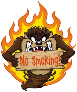 samolepka No Smoking 